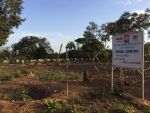 Bild 1: Ebola-Friedhof